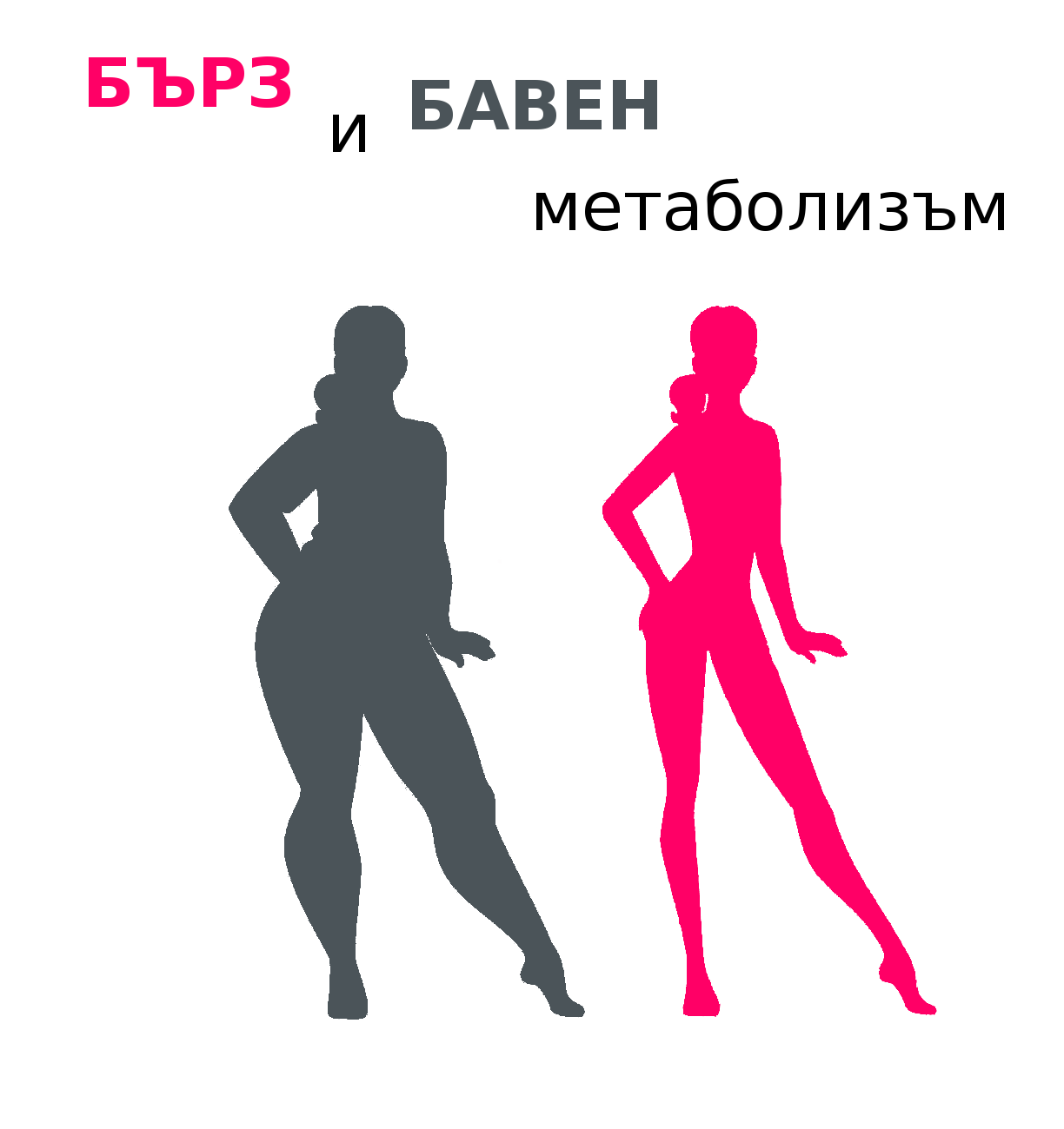 №10: Храносмилателна система: черва, два вида реакции на замърсяване – бавен метаболизъм и бърз метаболизъм